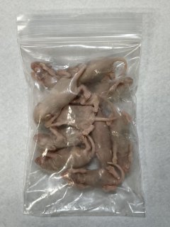 富城物産 - イチジョウペットフード
