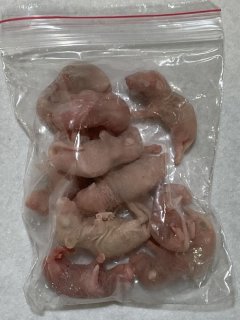 富城物産 - イチジョウペットフード