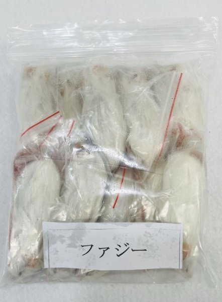 画像1: ファジーマウス　１０匹　富城　約１０ｇ (1)