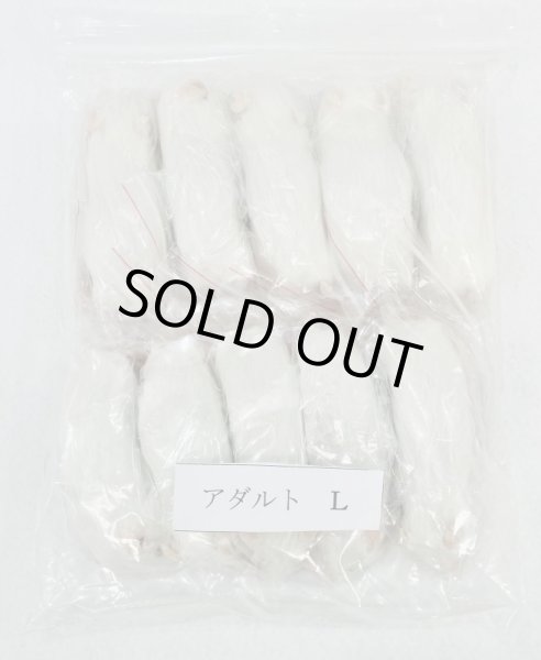 画像1: アダルトマウスＬ　１０匹　富城　約３０ｇ (1)