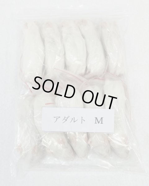 画像1: アダルトマウスＭ　１０匹　富城　約２０ｇ (1)