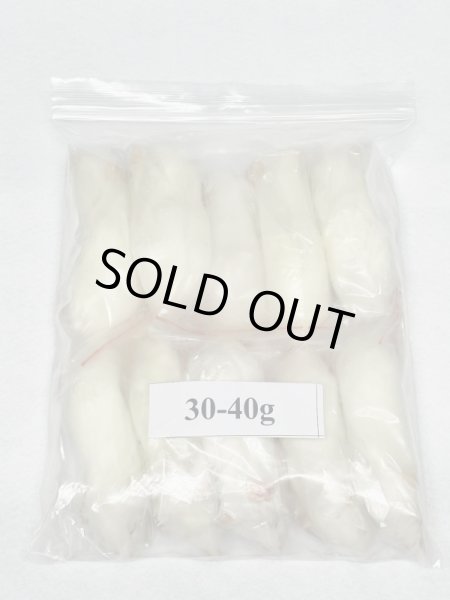 画像1: 【クリスマス＆年末キャンペーン！】アダルトラットＸＳ　１０匹　富城　約３０ｇ〜４０g (1)