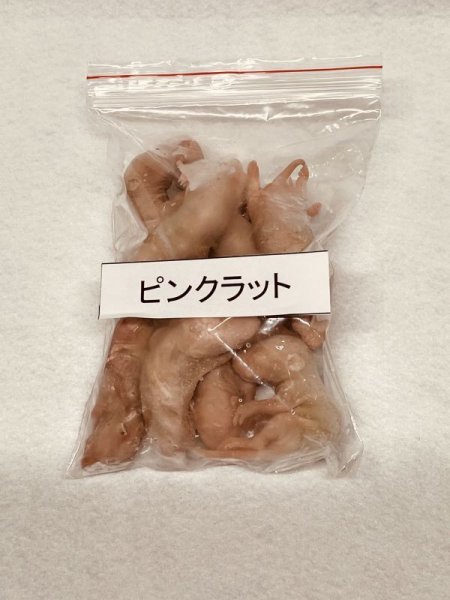 画像1: ピンクラット１０匹　富城　約１０ｇ (1)