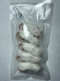 PAPA☆mick 猛禽類爬虫類　餌　230＋α 冷凍 マウス 餌 エサ 200匹 アダルトマウスM フクロウ 猛禽類