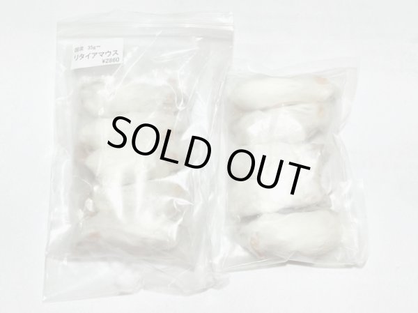 画像1: リタイアマウス　１０匹　国産自社　３５ｇ (1)