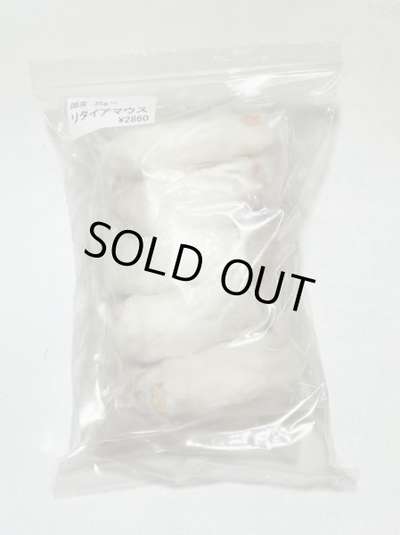 画像2: リタイアマウス　１０匹　国産自社　３５ｇ (2)