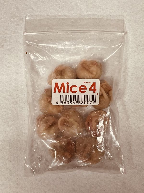 ピンクマウスＬ １０匹 カタ養殖 Ｍｉｃｅ４ - イチジョウペットフード